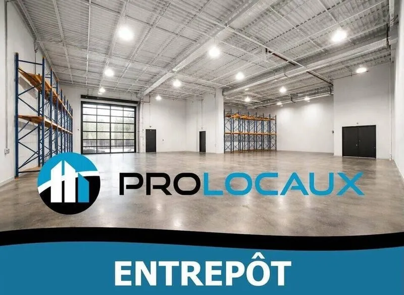 Local d'activité