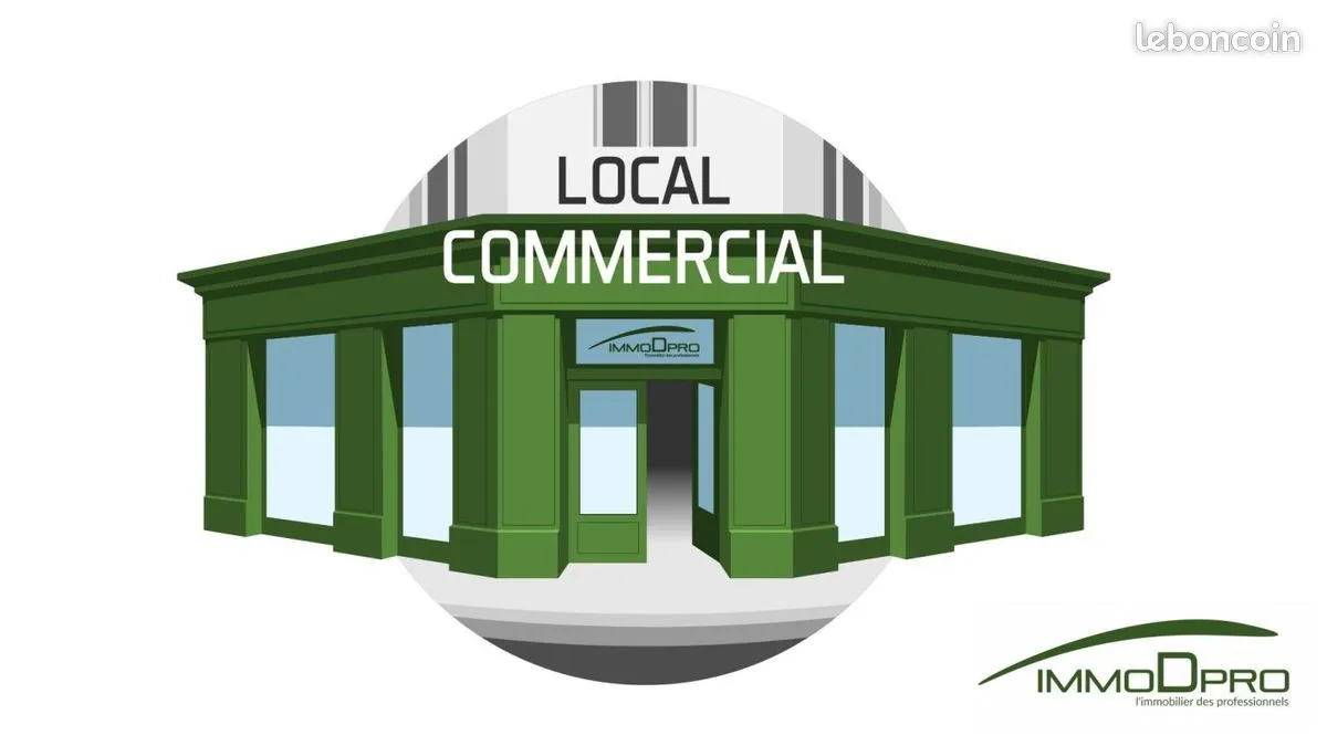 Local d'activité