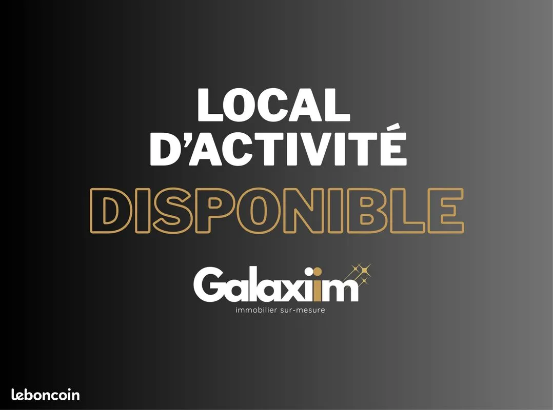 Local d'activité