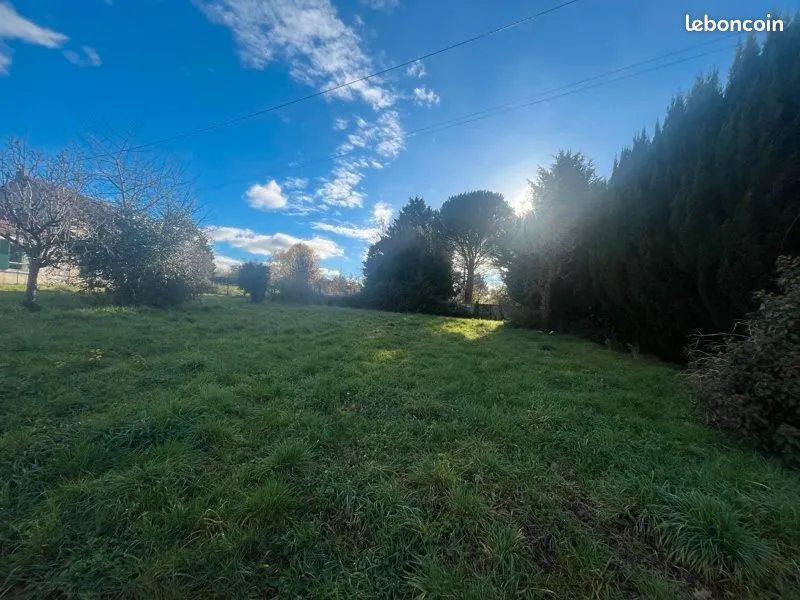 Terrain