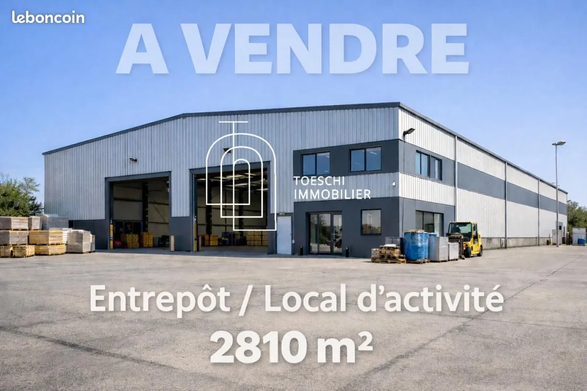 Local d'activité