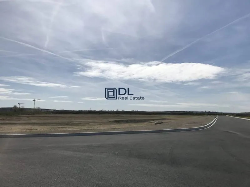Local d'activité