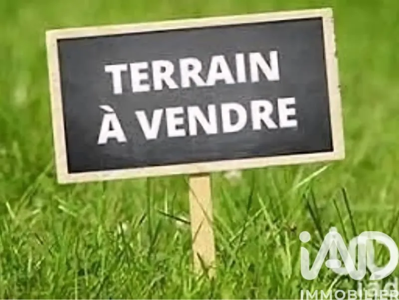 Terrain