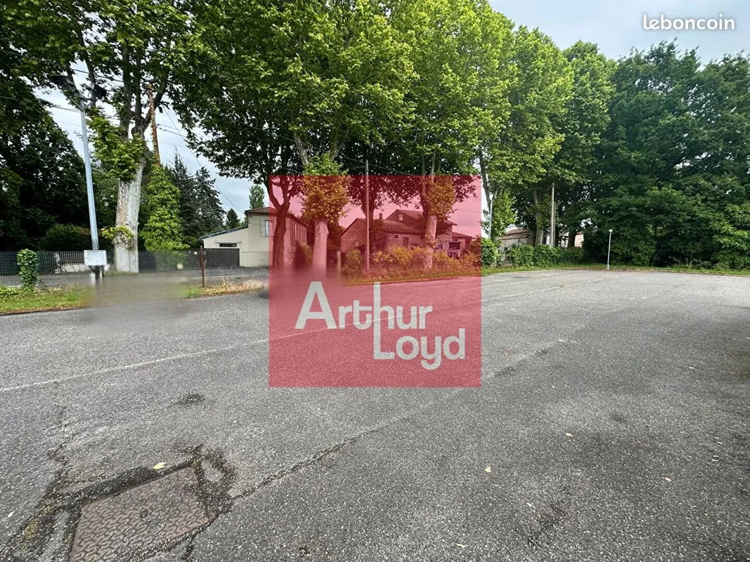 Local d'activité