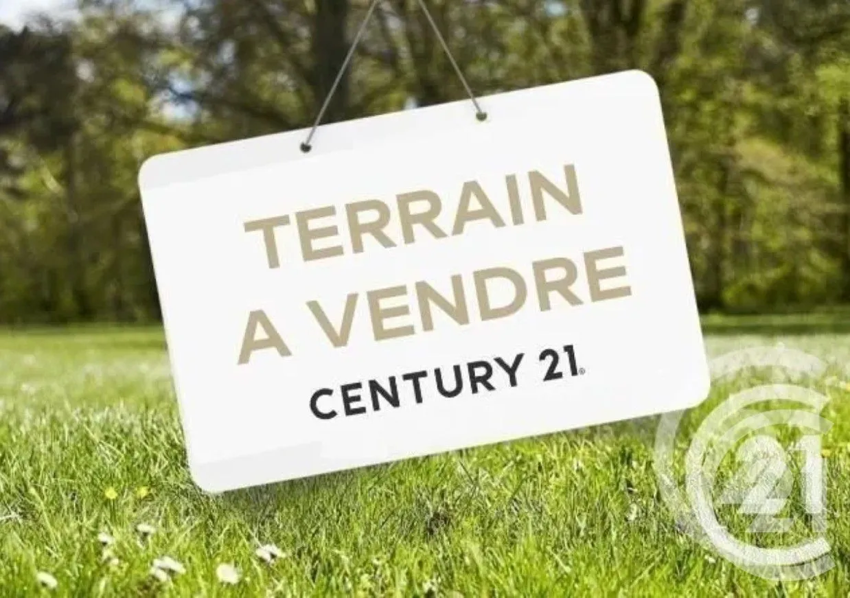 Terrain