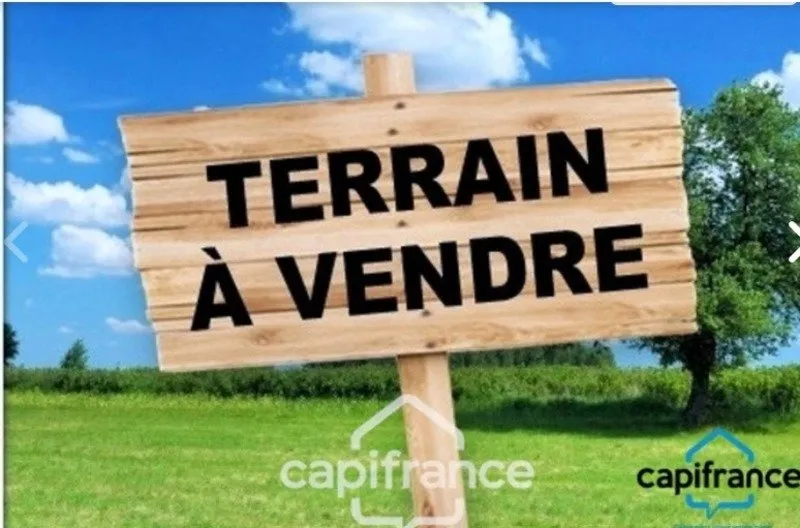 Terrain