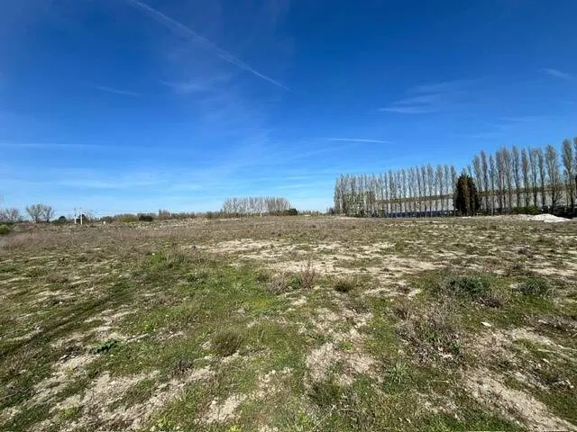 Terrain