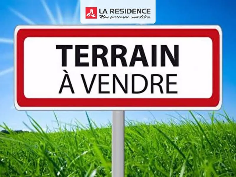 Terrain