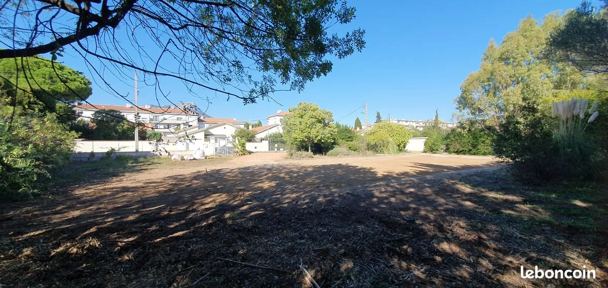 Terrain