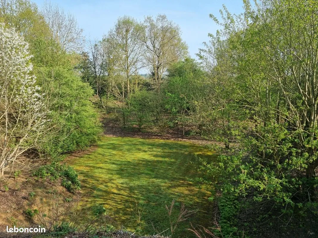 Terrain