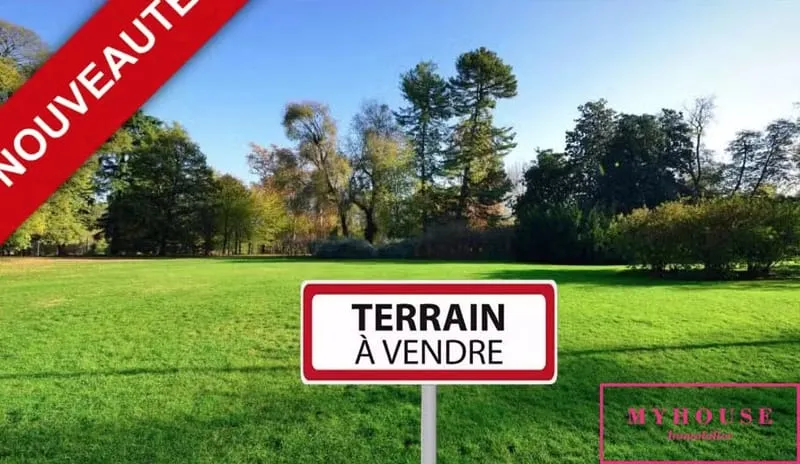 Terrain