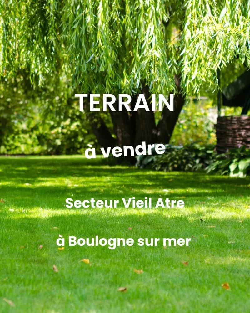 Terrain