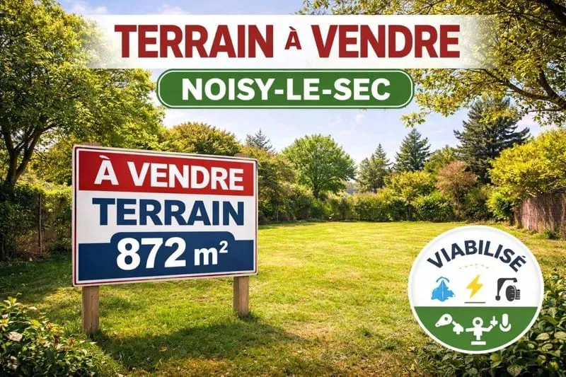 Terrain