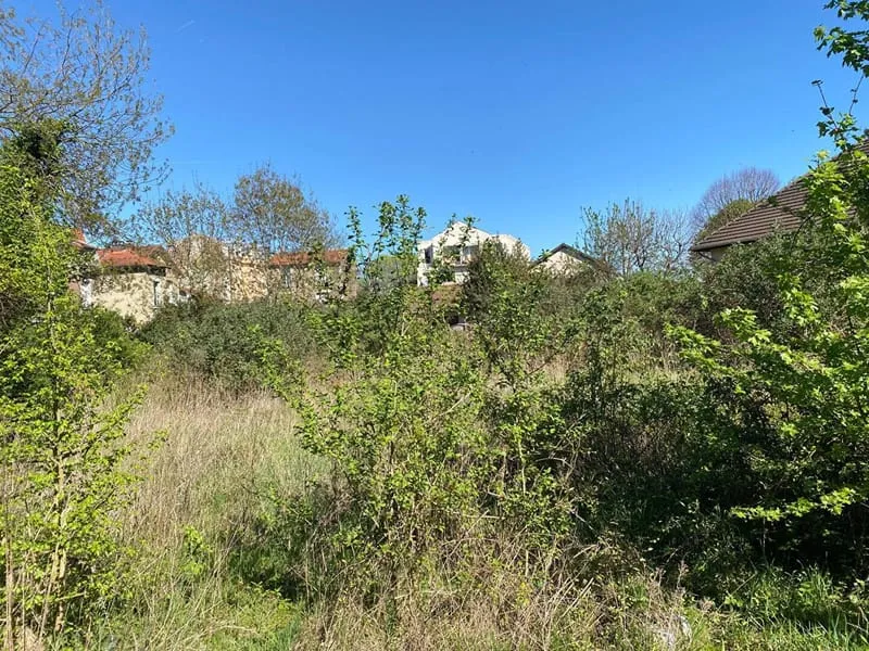Terrain