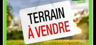 Terrain