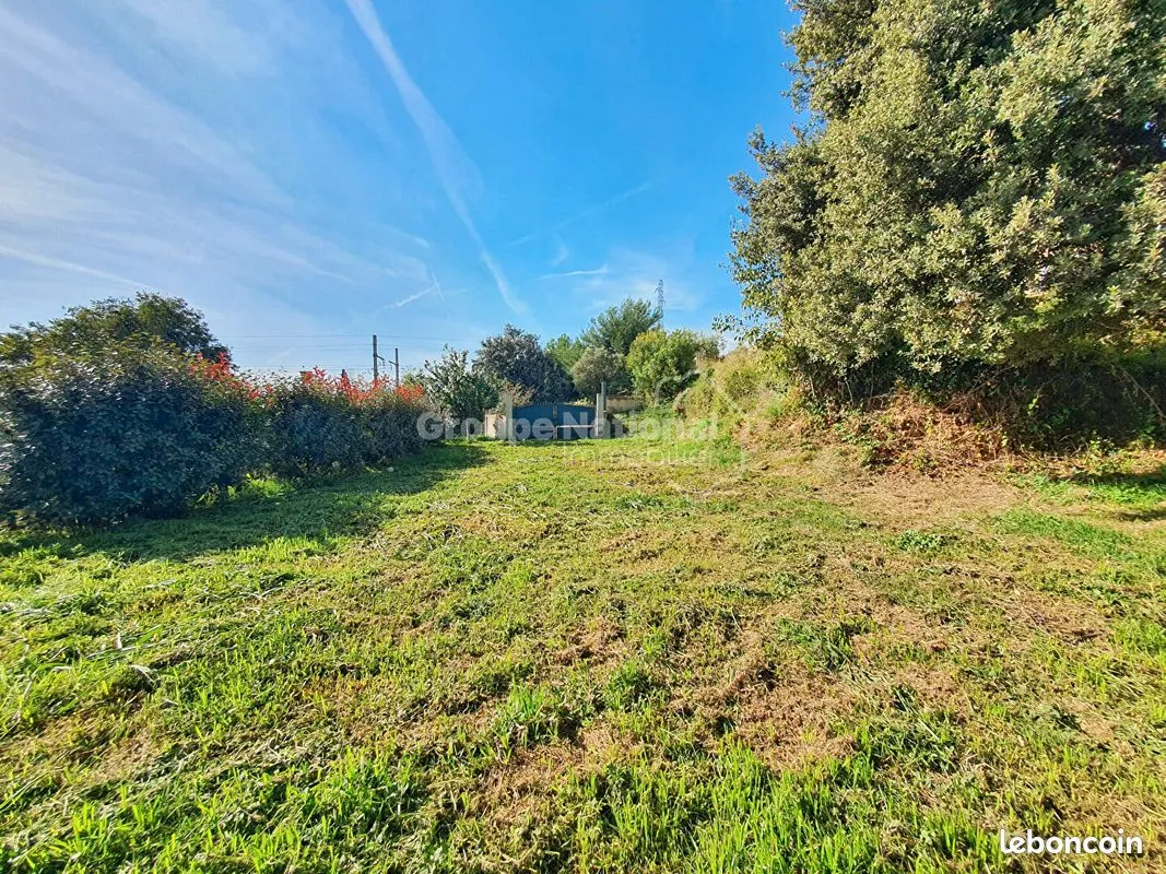 Terrain