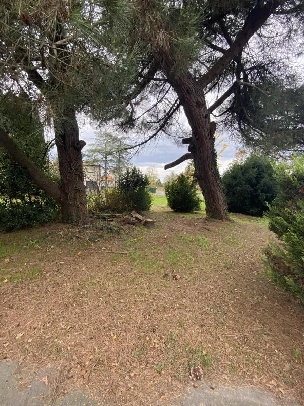 Terrain