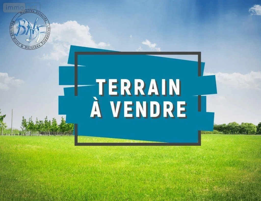 Terrain
