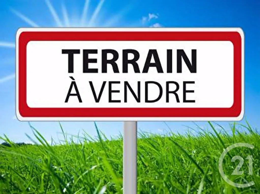 Terrain