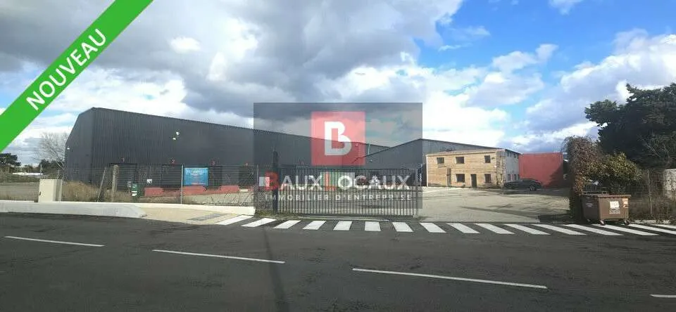 Local d'activité