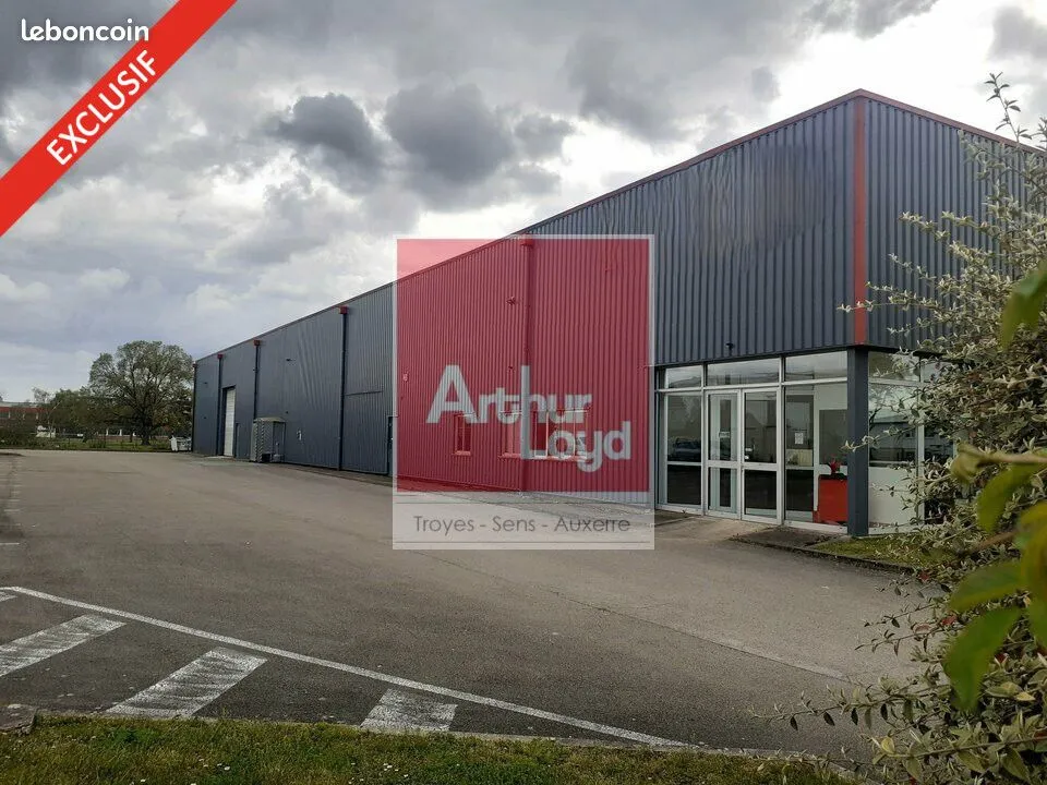 Local d'activité