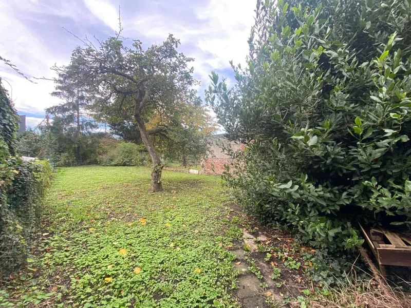 Terrain