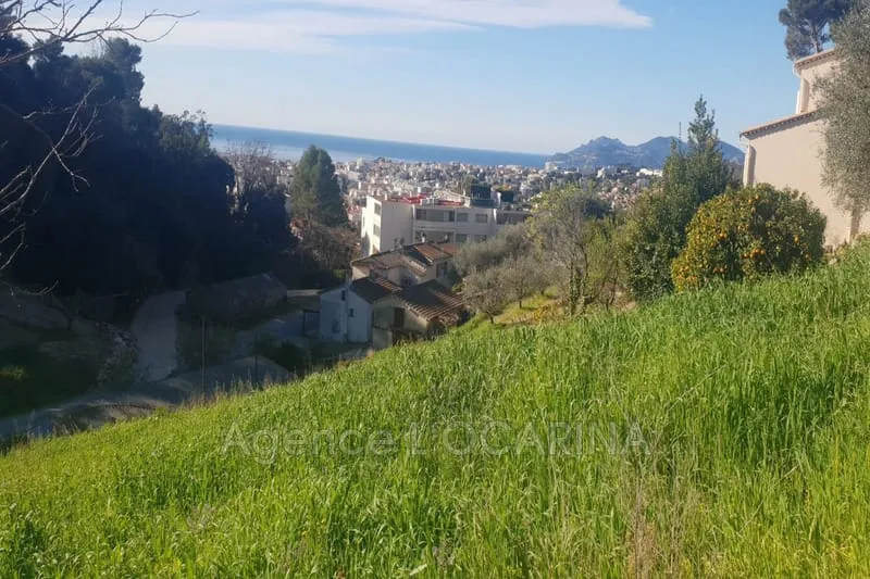 Terrain