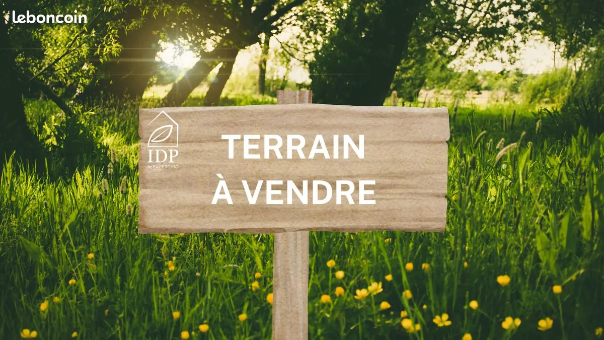 Terrain