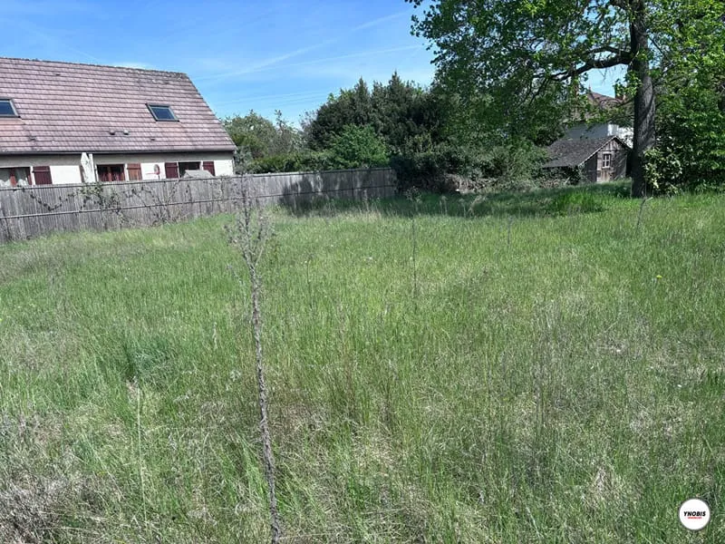 Terrain
