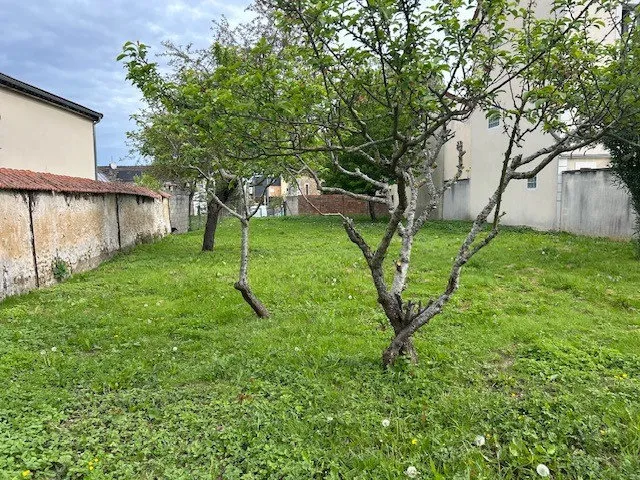 Terrain