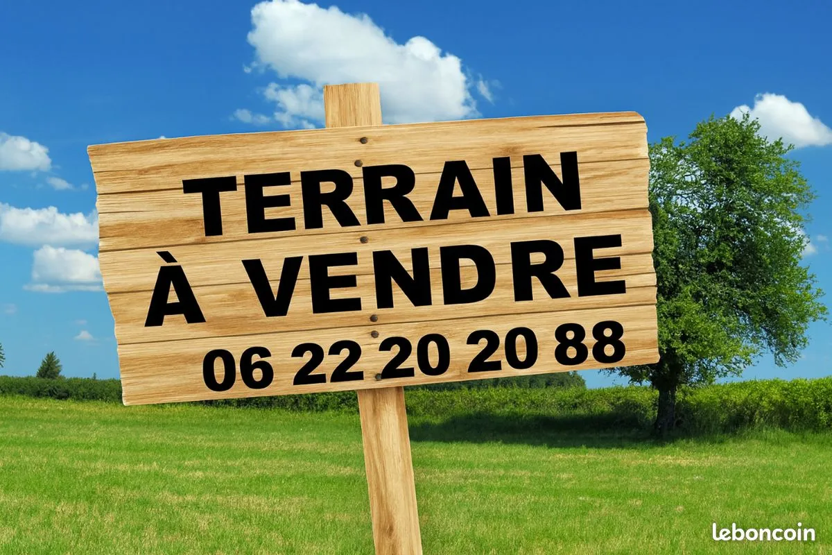 Terrain