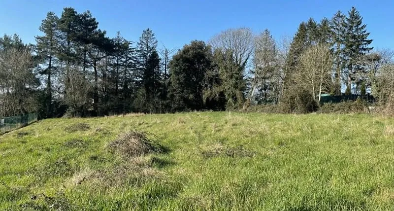 Terrain