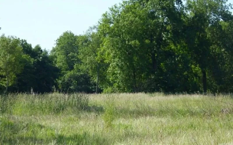 Terrain