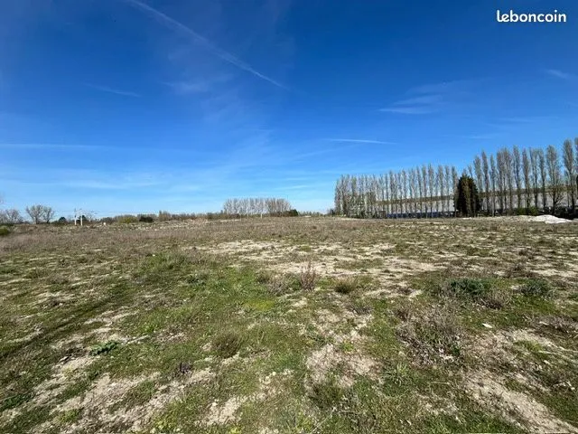 Terrain