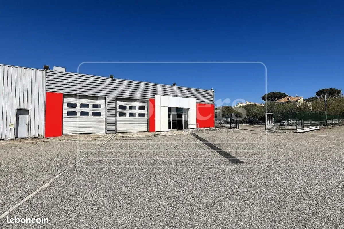 Local d'activité