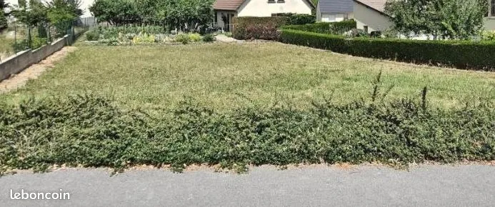 Terrain
