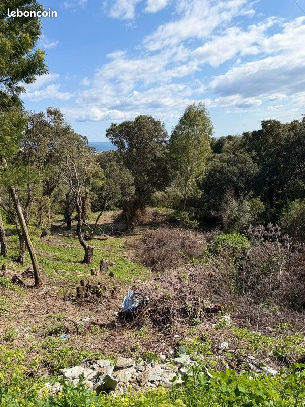 Terrain