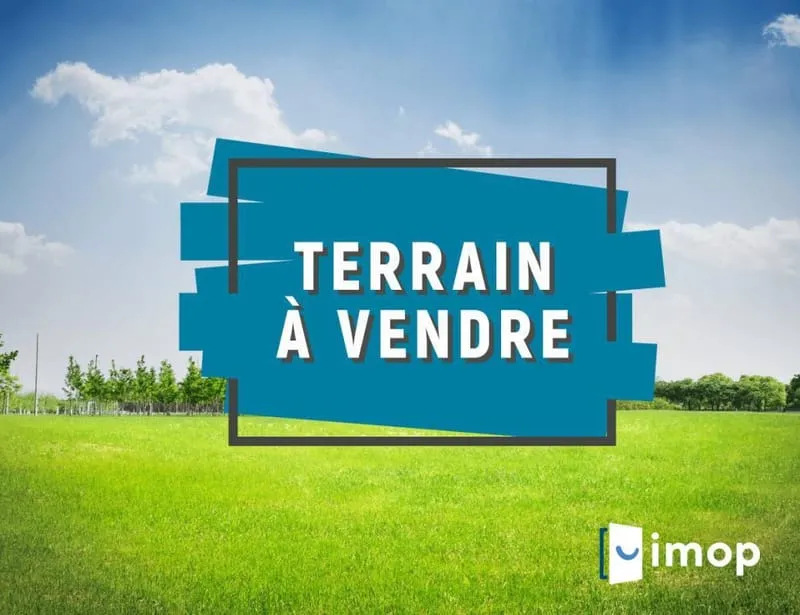 Terrain