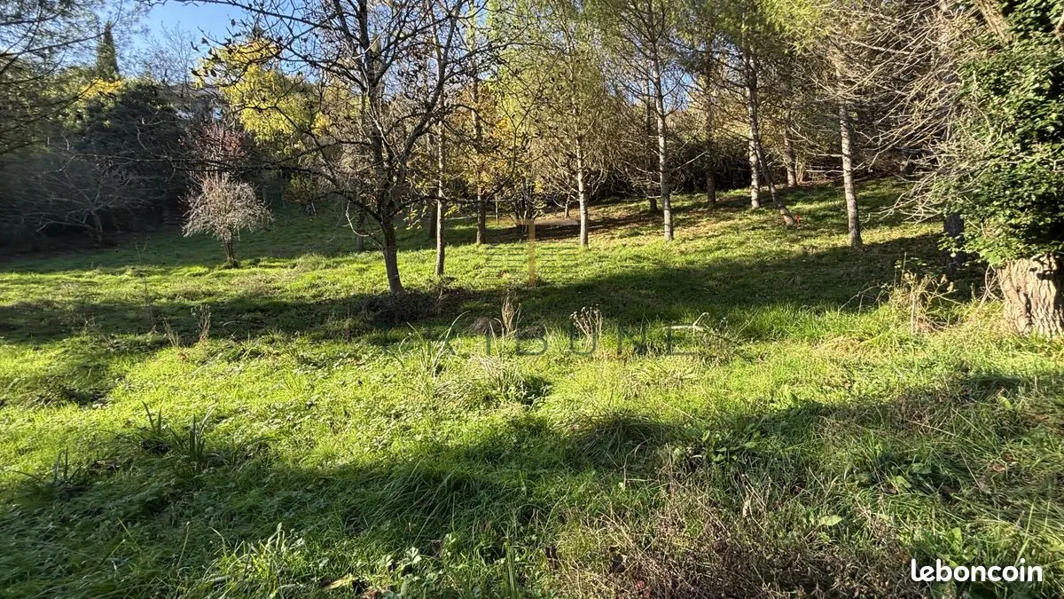 Terrain