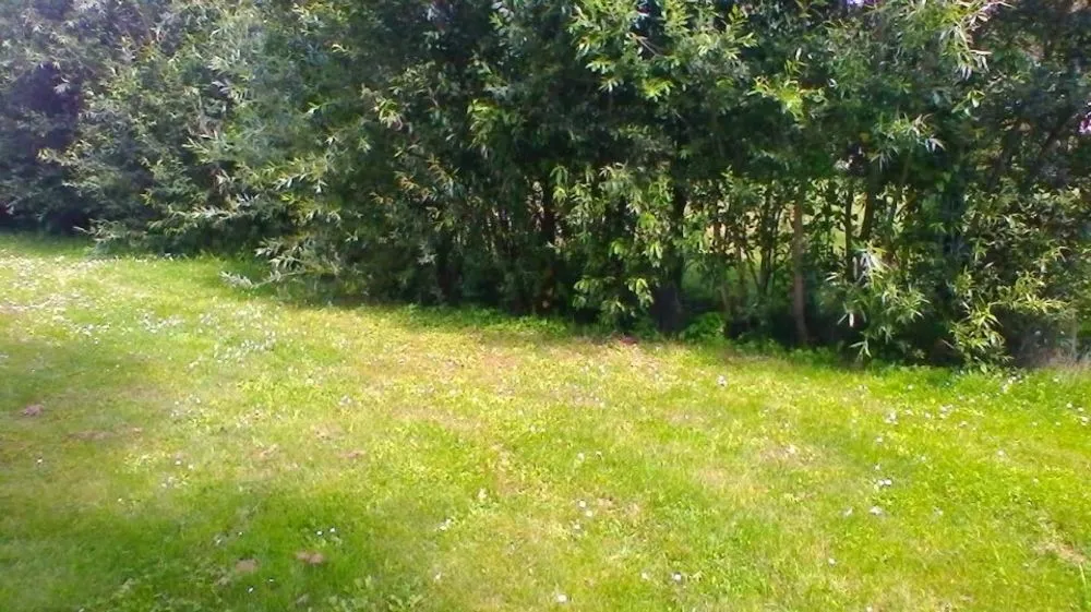 Terrain