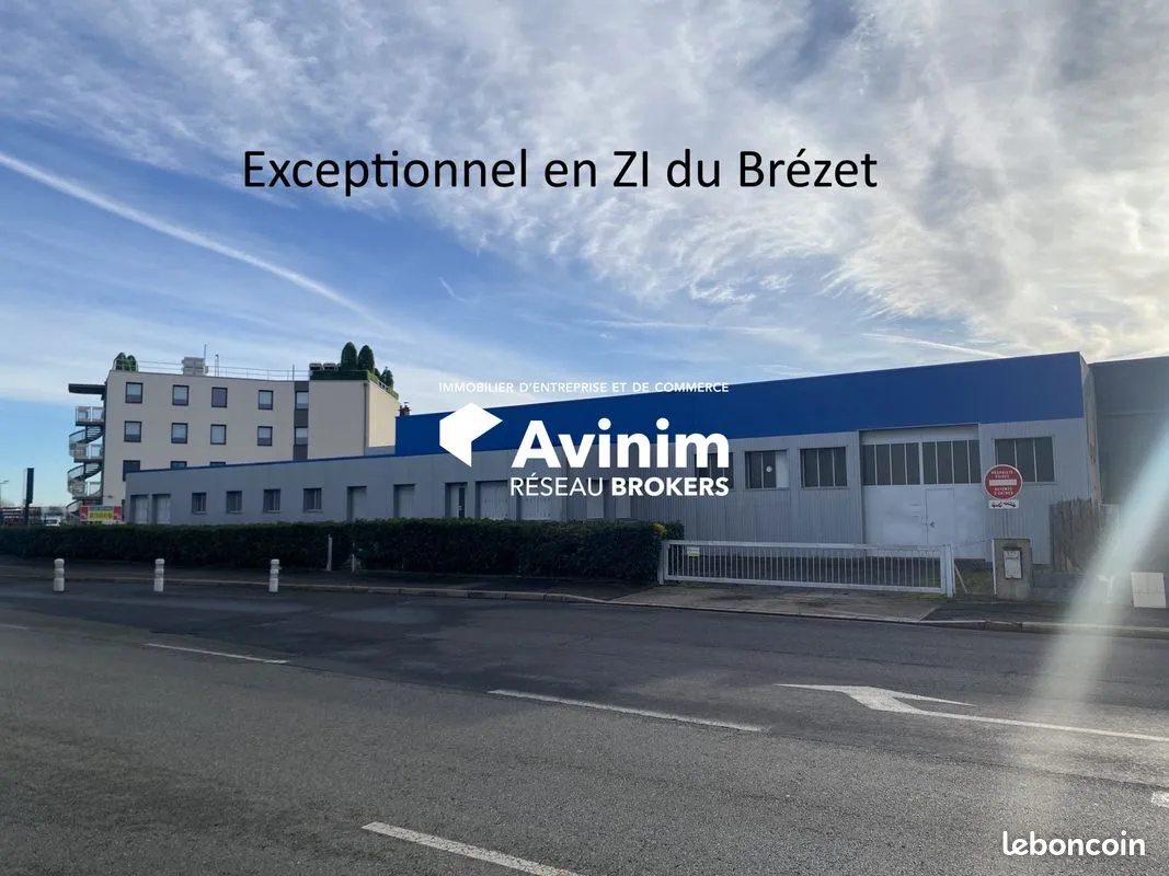 Local d'activité