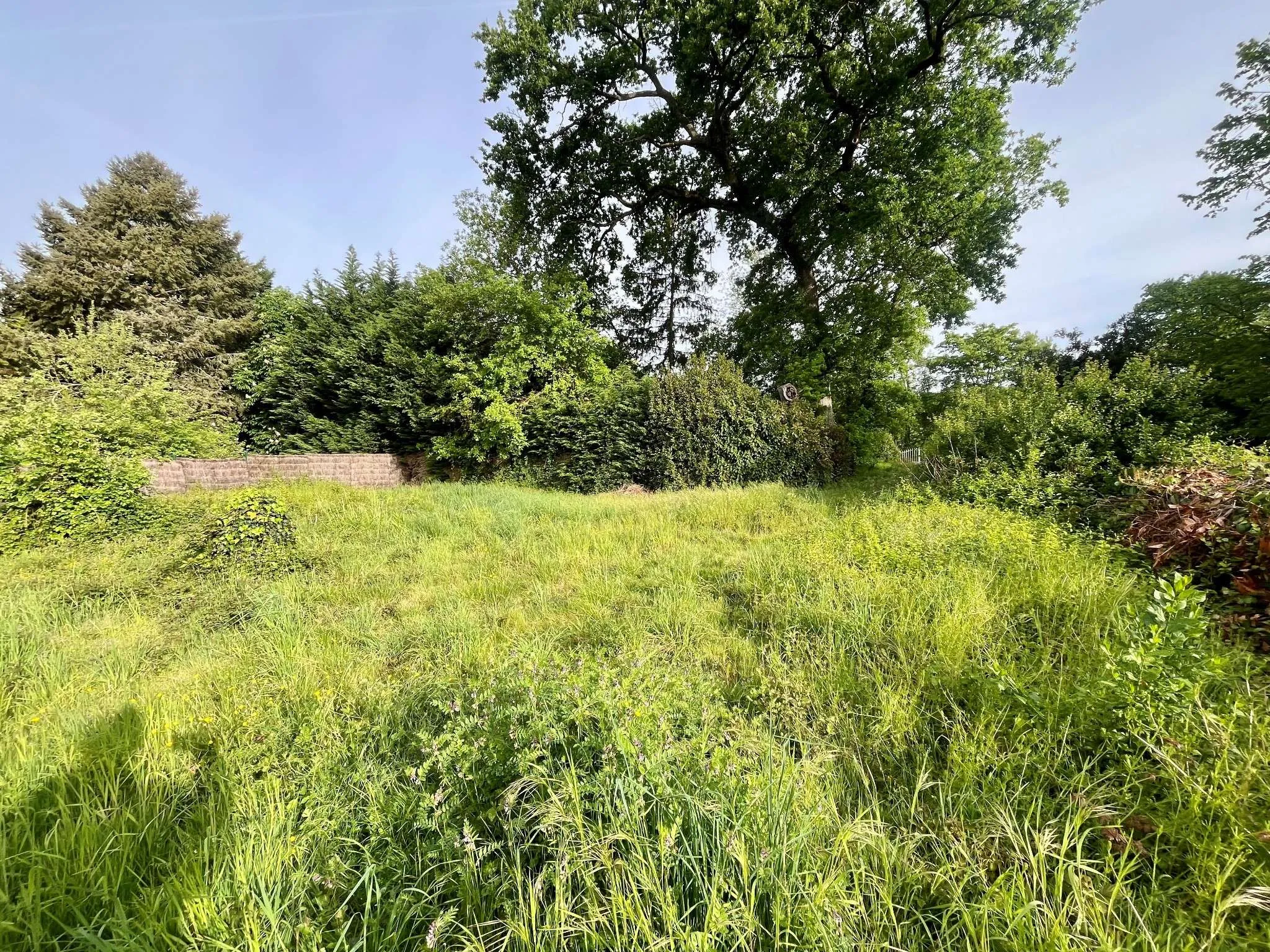 Terrain