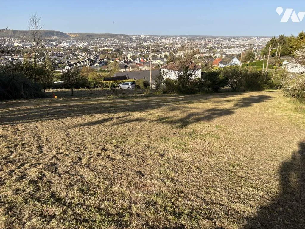 Terrain
