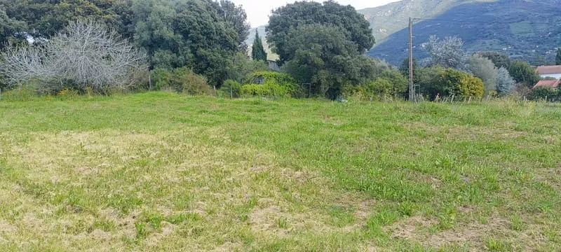 Terrain