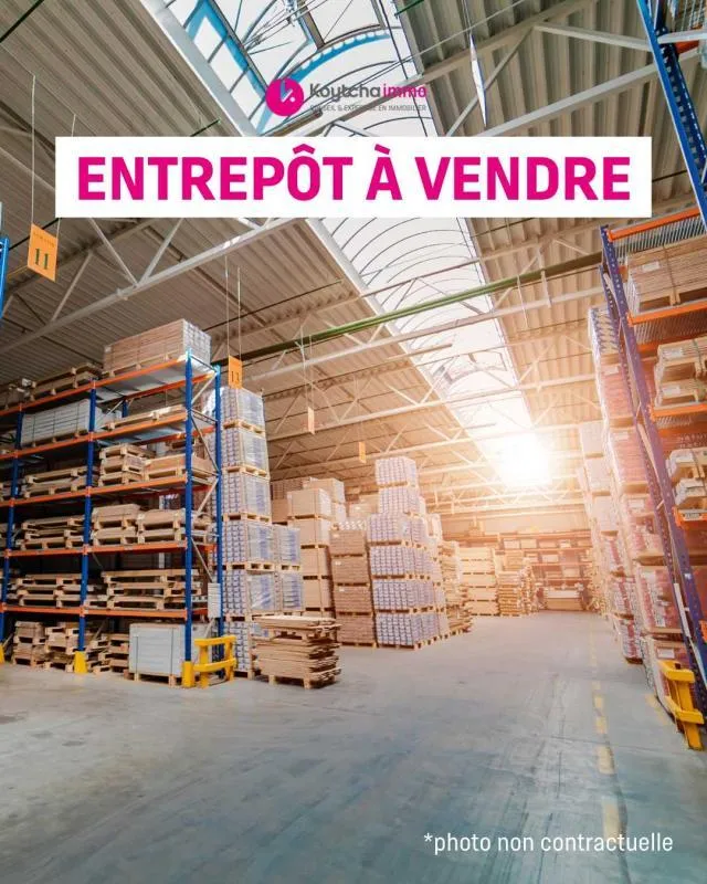 Local d'activité