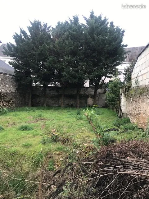 Terrain