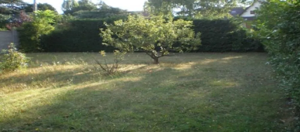 Terrain