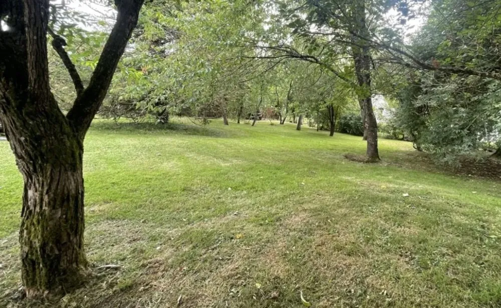 Terrain