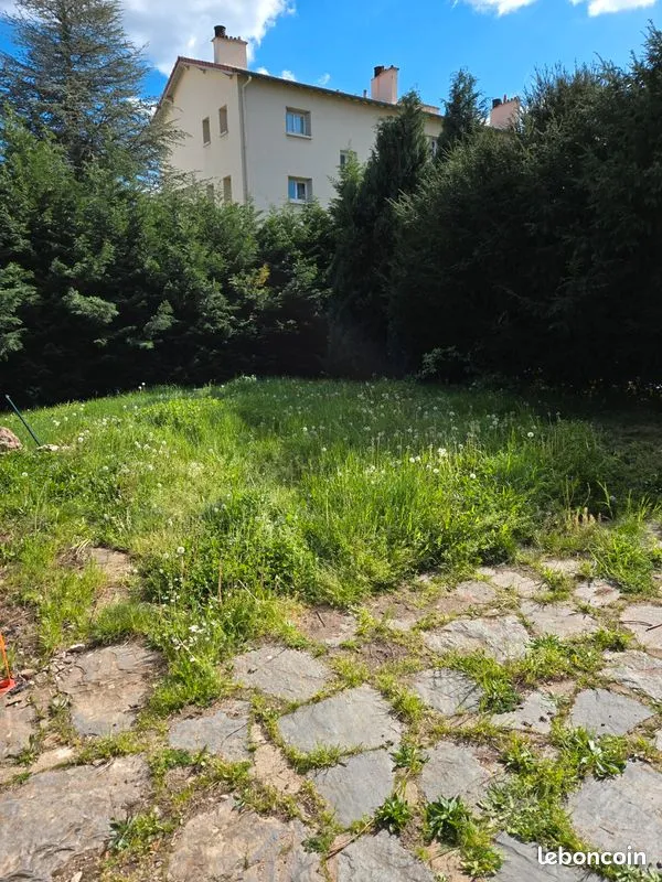 Terrain