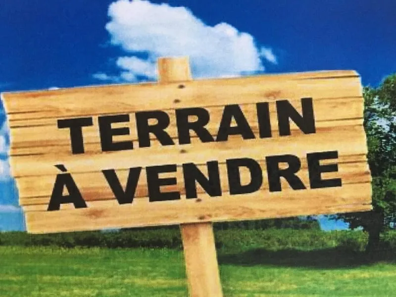 Terrain